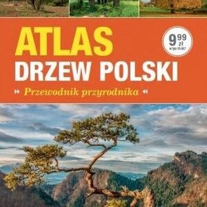 Atlas drzew Polski. Przewodnik przyrodnika