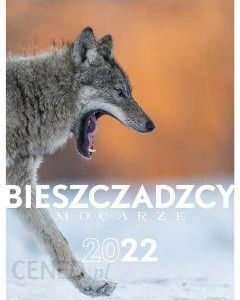 Kalendarz 2022 Bieszczadzcy mocarze (wilk)