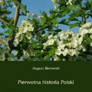 Pierwotna historia Polski - August Bielowski