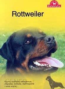 Pies na medal. Rottweiler